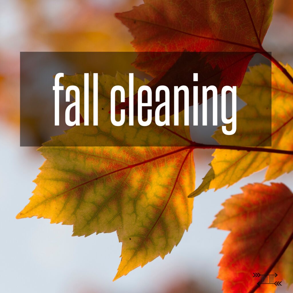 fall cleaning